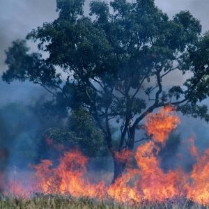 CPD - Design for a Burning Environment
