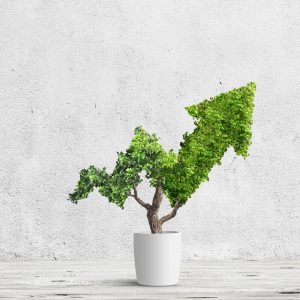 CPD – Growing your Small Practice